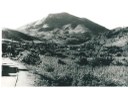 Mirante da Torre