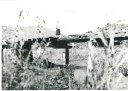 Pontilhão